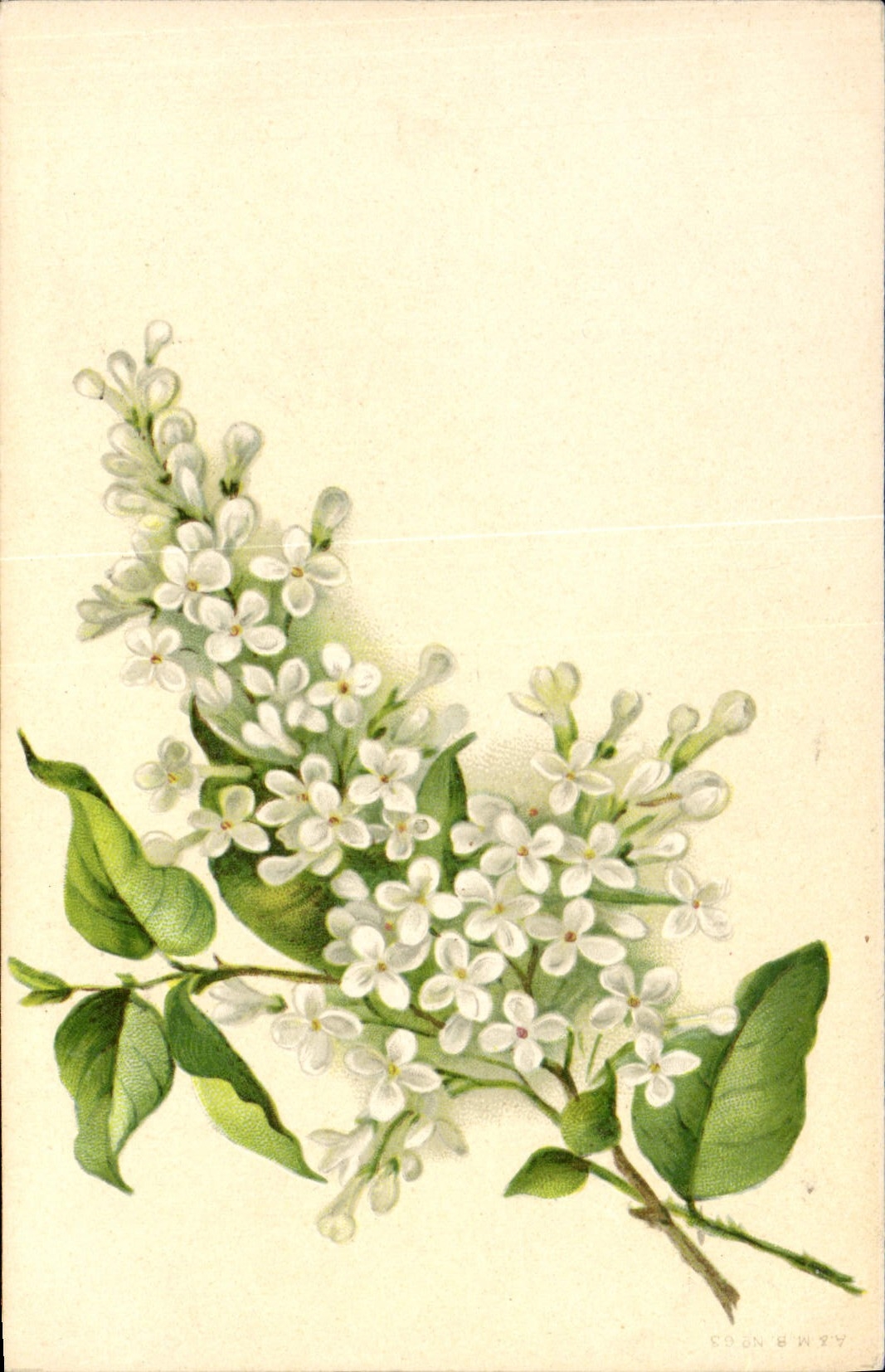 CPA Fantaisie Fleurs 