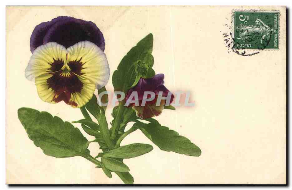 CPA Fantaisie Fleurs 
