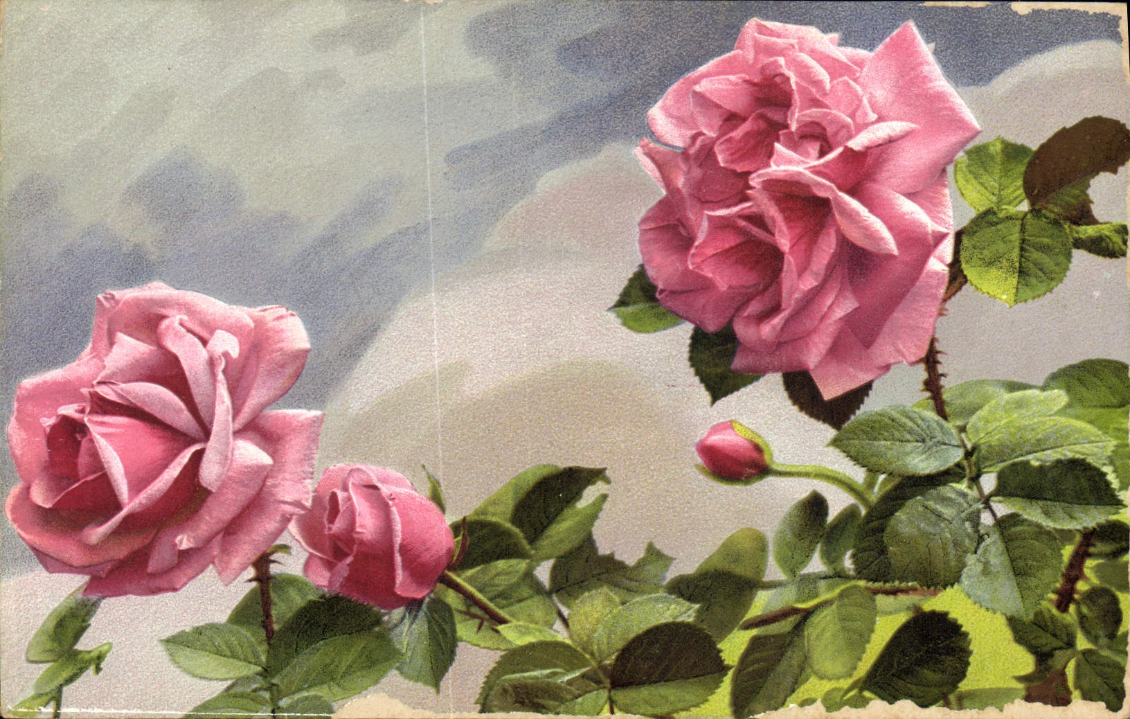 CPA Fantaisie Fleurs 