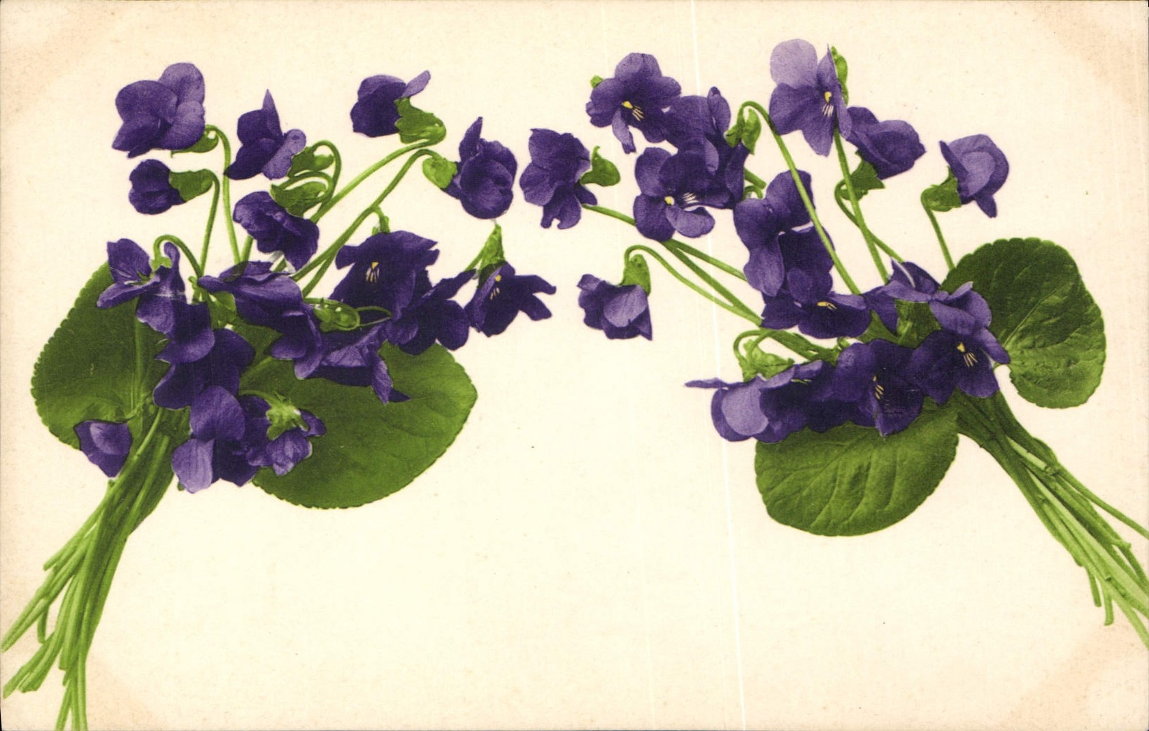 CPA Fantaisie Fleurs 
