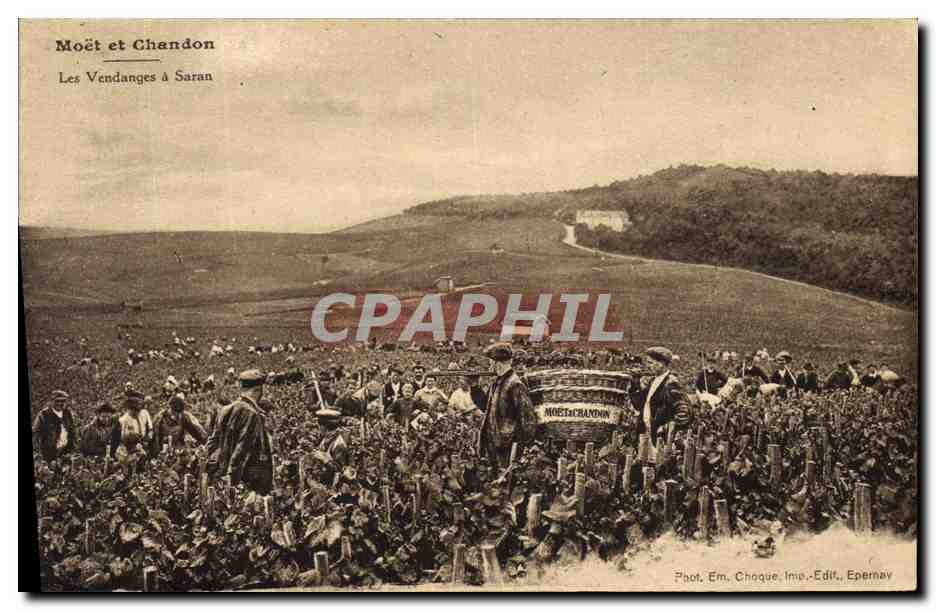 CPA Folklore Vin Vignoble Vendanges Champagne Moet et Chandon Les vendanges a Saran 