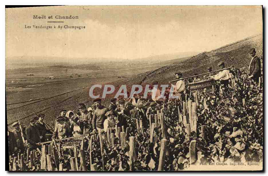 CPA Folklore Vin Vignoble Vendanges Champagne Moet et Chandon Les vendanges a Ay Champagne 