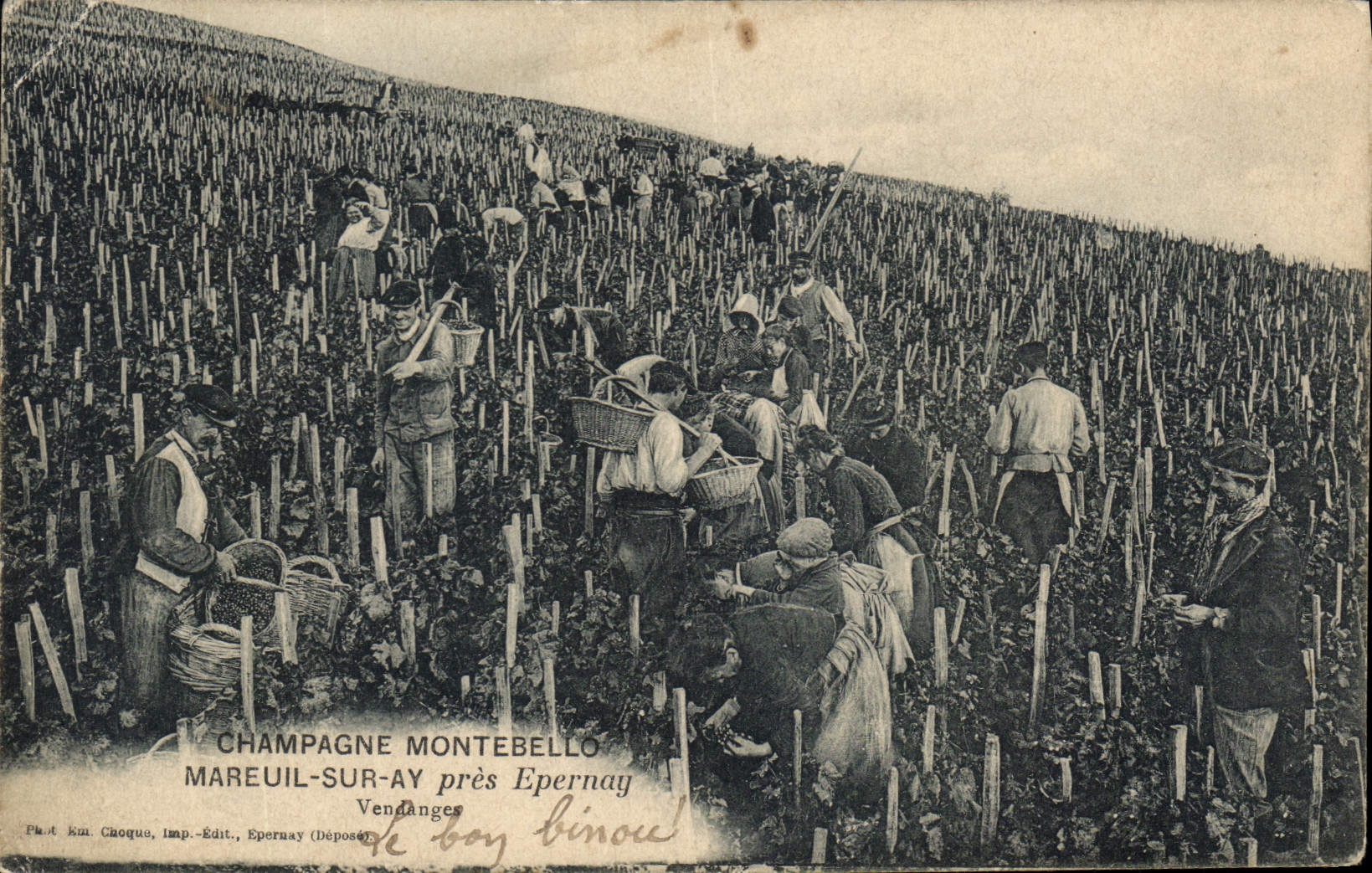 CPA Folklore Vin Vignoble Vendanges Champagne Montebello Mareuil sur Ay pres Epernay 