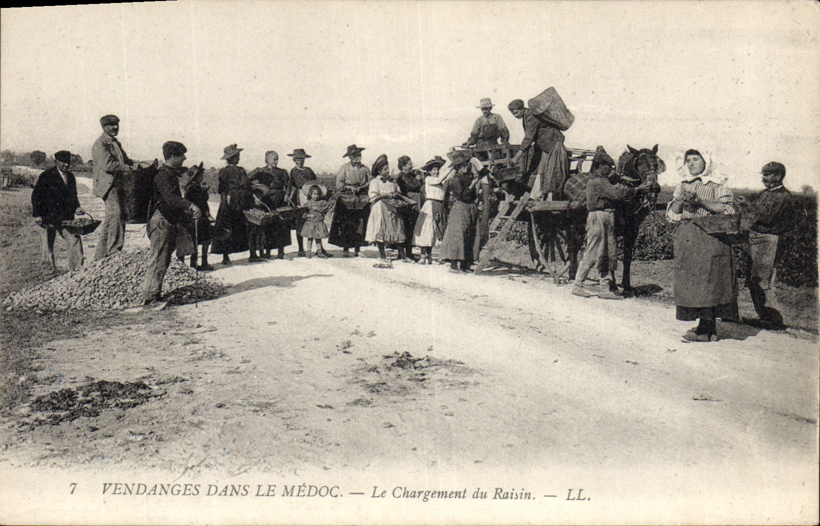 CPA Folklore Vin Vignoble Vendanges dans le Medoc Le chargement du raisin TOP 