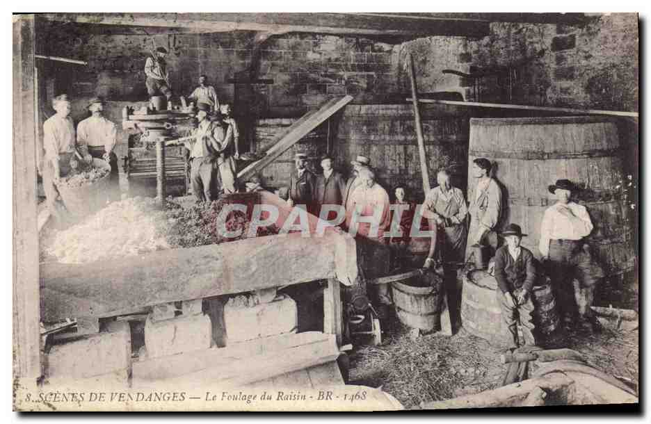 Scènes de Vendanges — Le Foulage du Raisin — BR - 1468