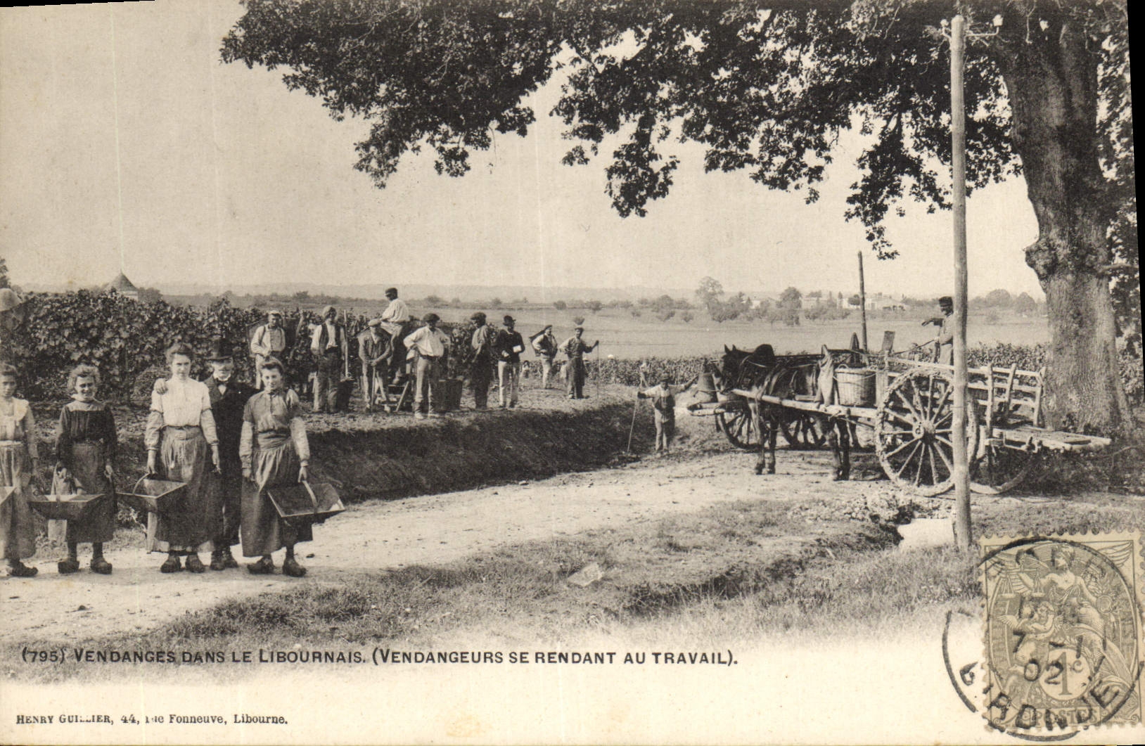 Vendanges dans le Libournais — (795) Vendangeurs se rendant au travail — Henry Guillier, 44, 140 Fonneuve, Libourne