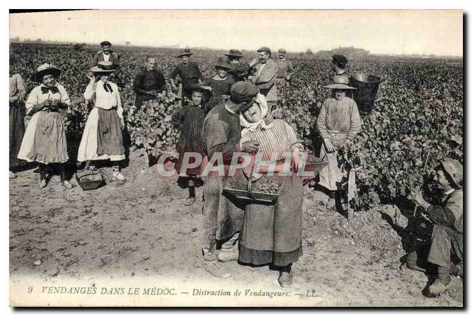 CPA Folklore Vin Vignoble Vendanges dans le Medoc Distraction de vendangeurs 