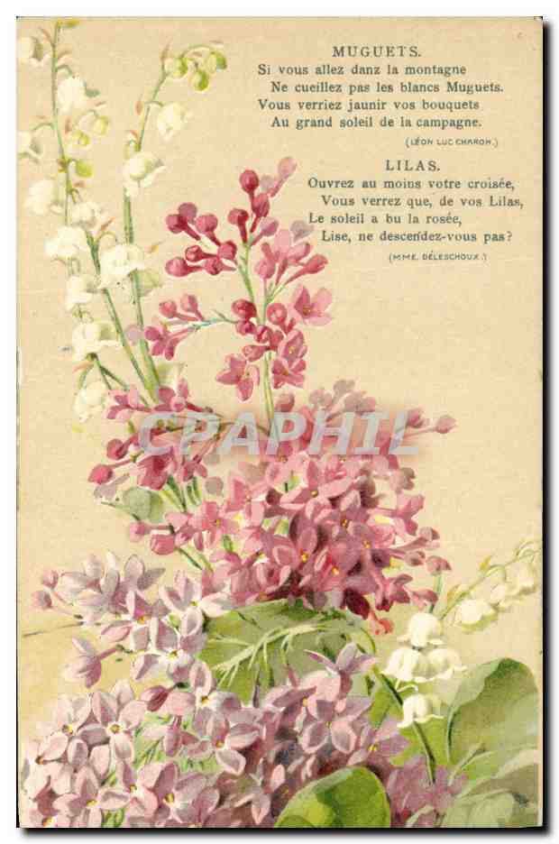 CPA Fantaisie Fleurs Muguets Lilas