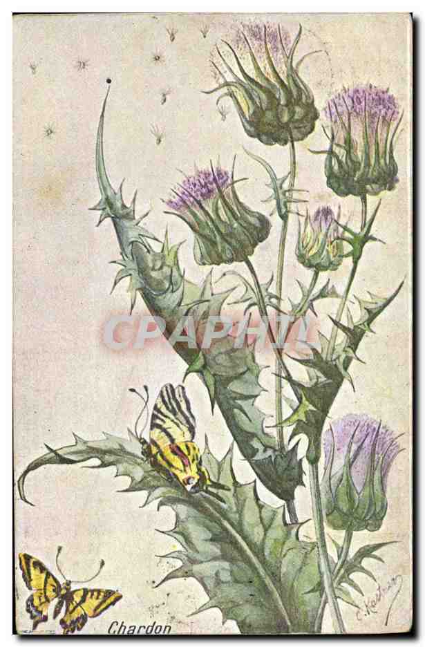 CPA Fantaisie Fleurs Papillon Chardon