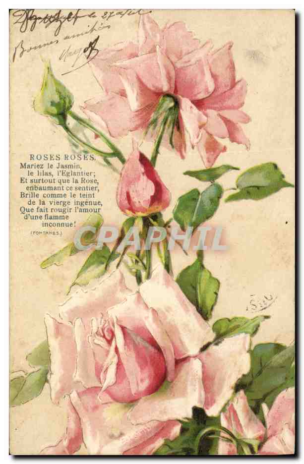 CPA Fantaisie Fleurs Roses rouges