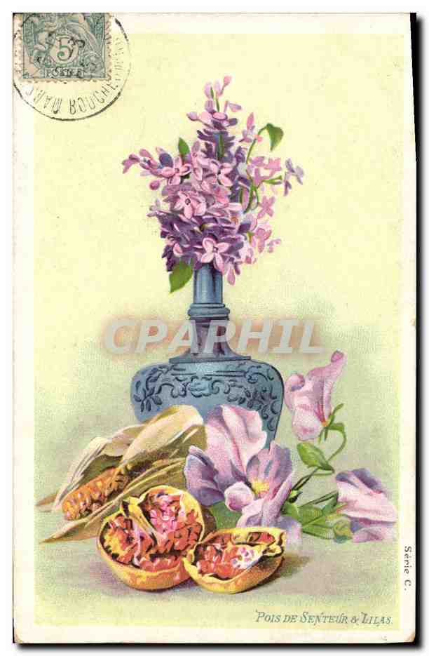 CPA Fantaisie Fleurs Pois de senteur & Lilas