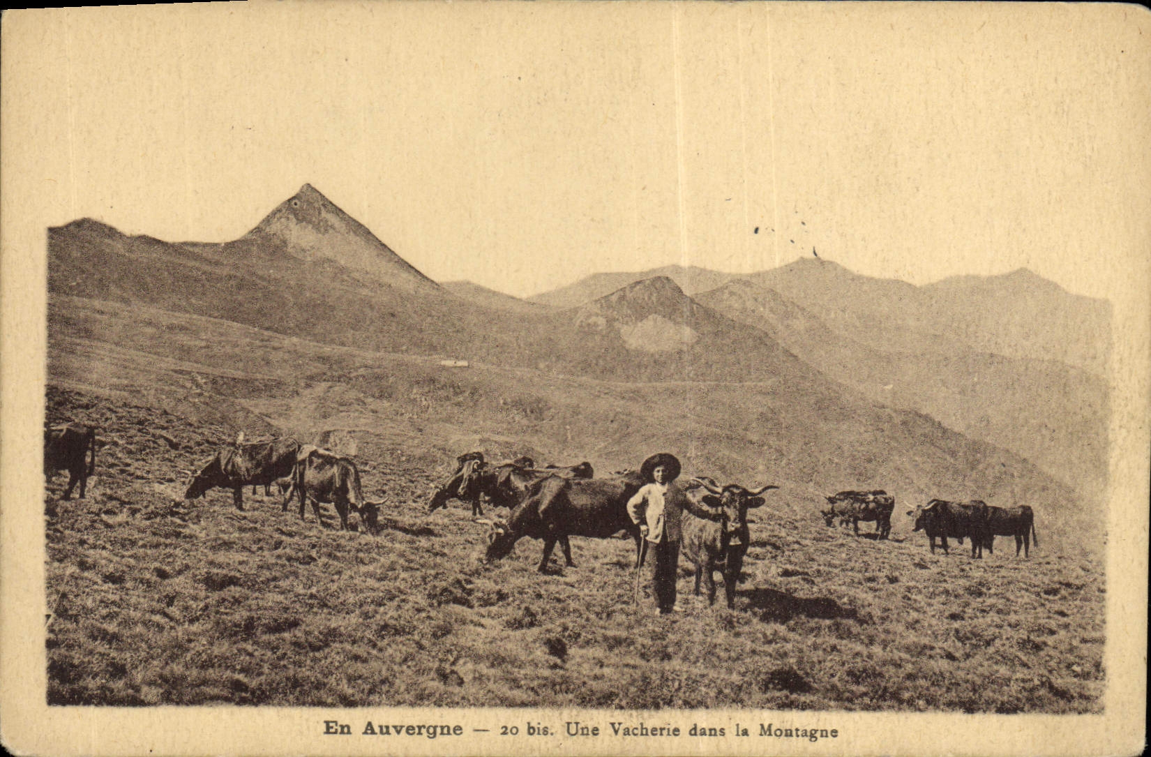 CPA Folklore Auvergne Une vacherie dans les montagnes Vaches