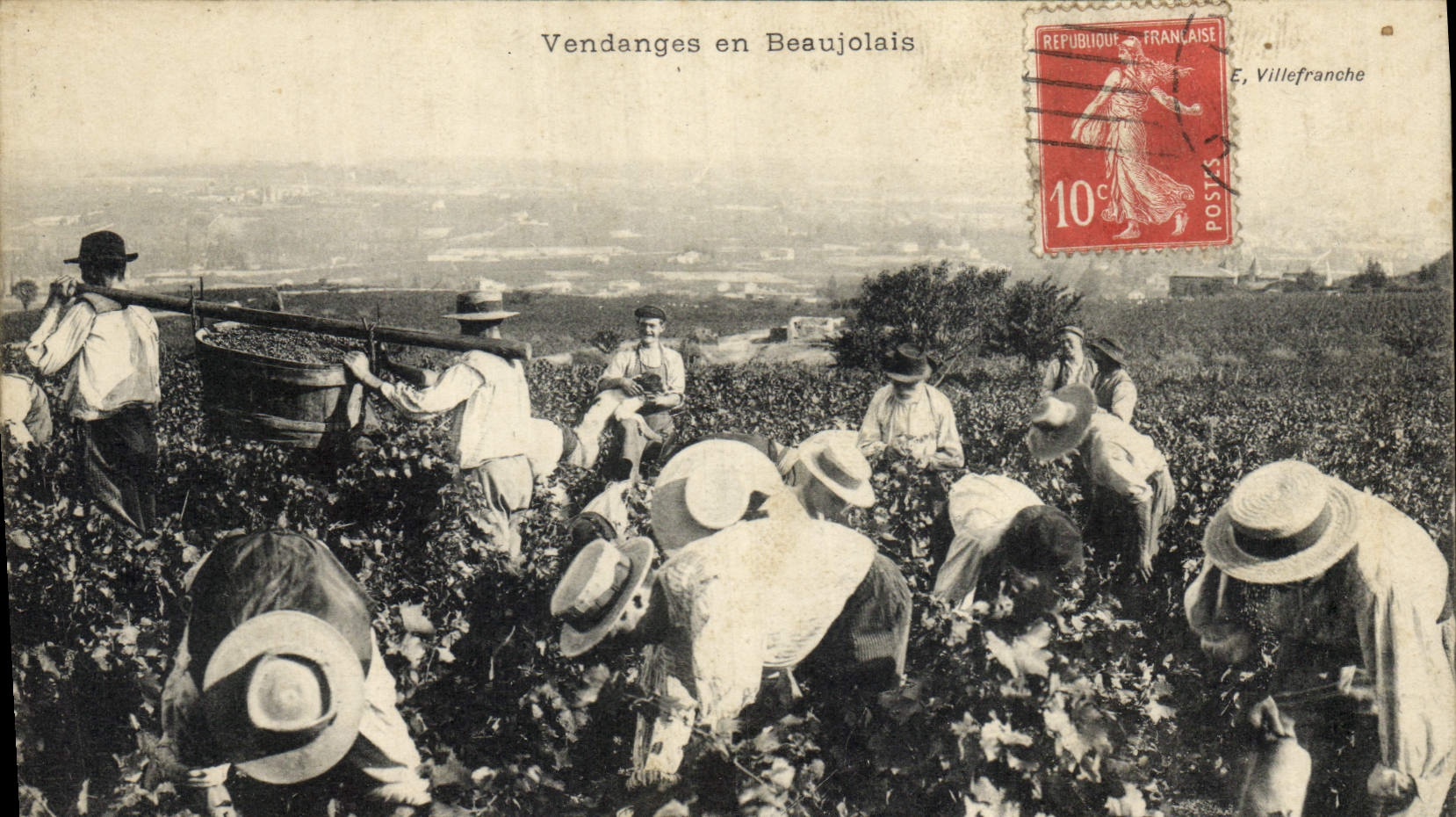 CPA Vin Vendanges en Beaujolais TOP 