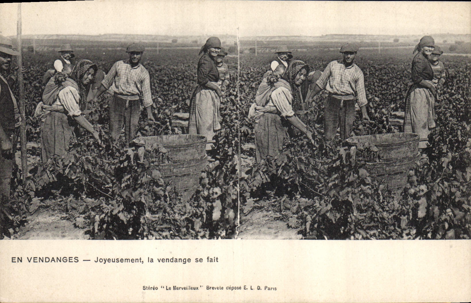 CPA Vin Vendanges Joyeusement la vendange se fait