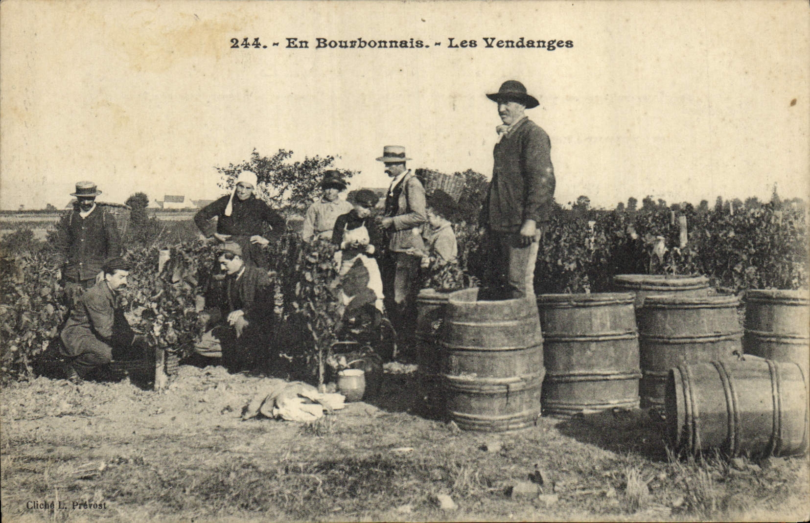 CPA Vin Vendanges en Bourbonnais TOP