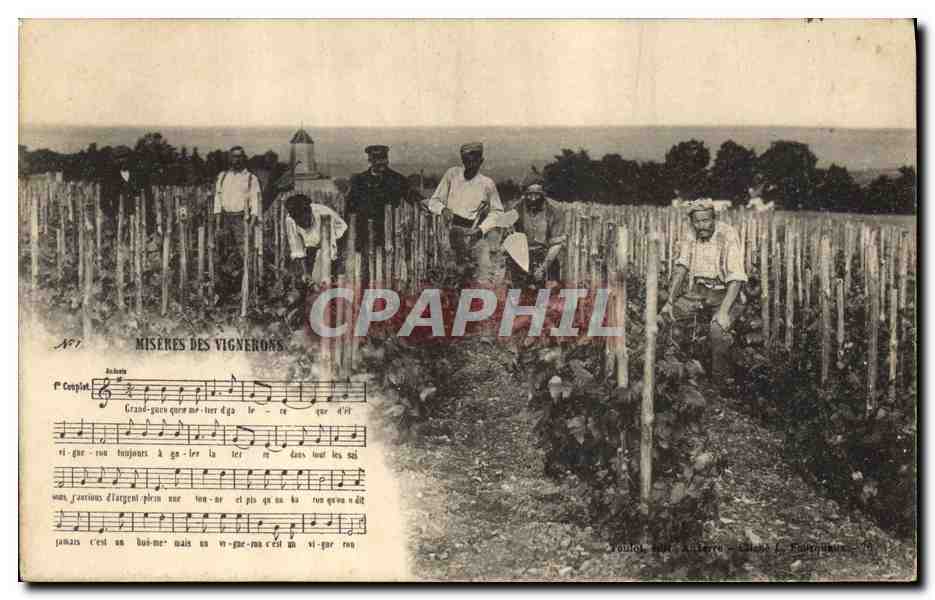 CPA Vin Vendanges Miseres de vignerons TOP