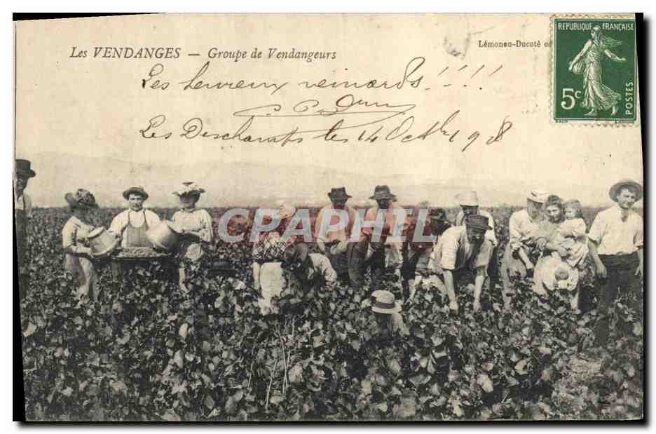 CPA Vin Vendanges Groupe de vendangeurs TOP