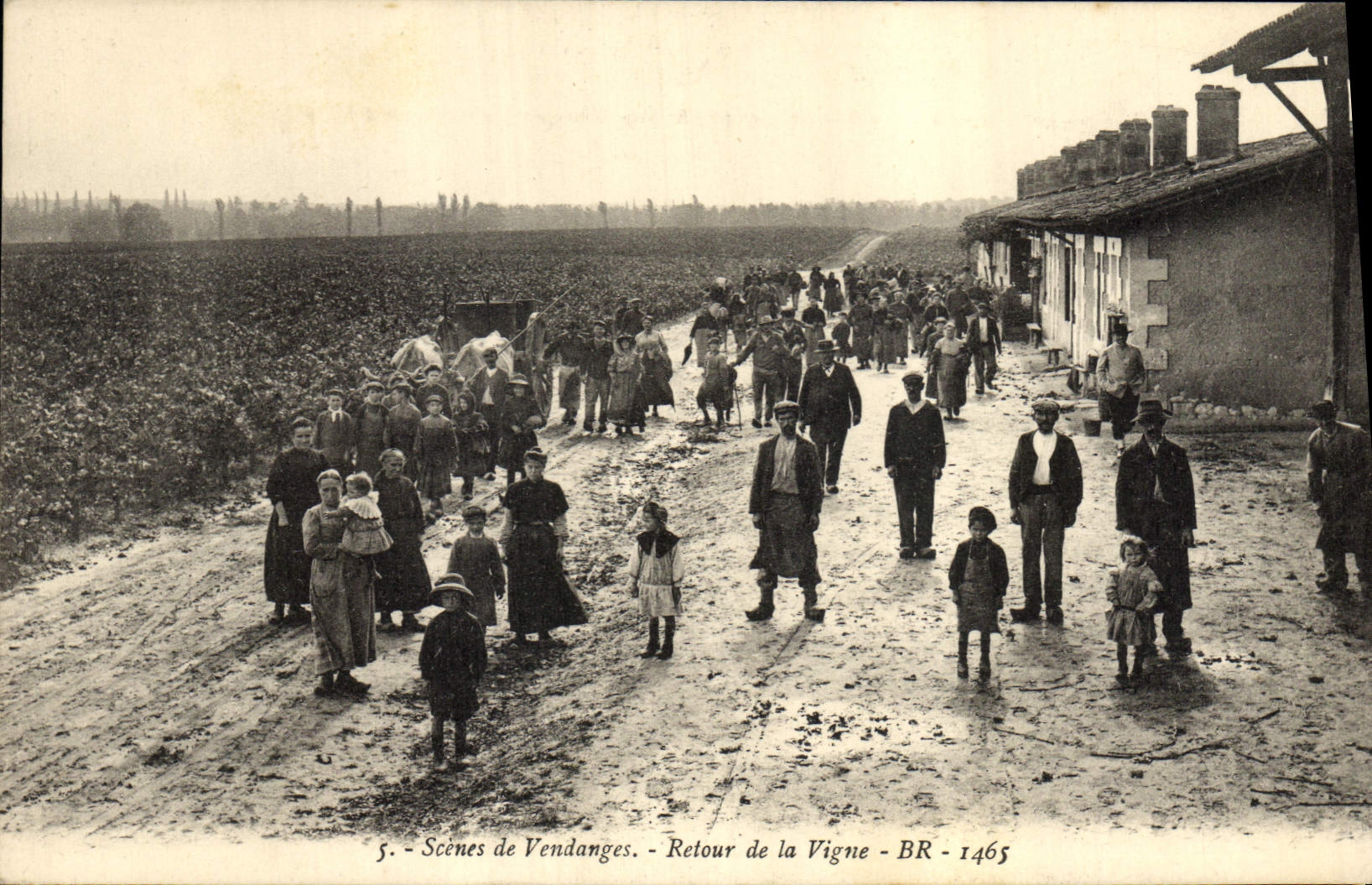 CPA Vin Scenes de Vendanges Retour de la vigne TOP