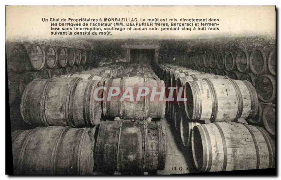 CPA Vin Vendanges Un Chai de proprietaires a Monbazillac Delperier