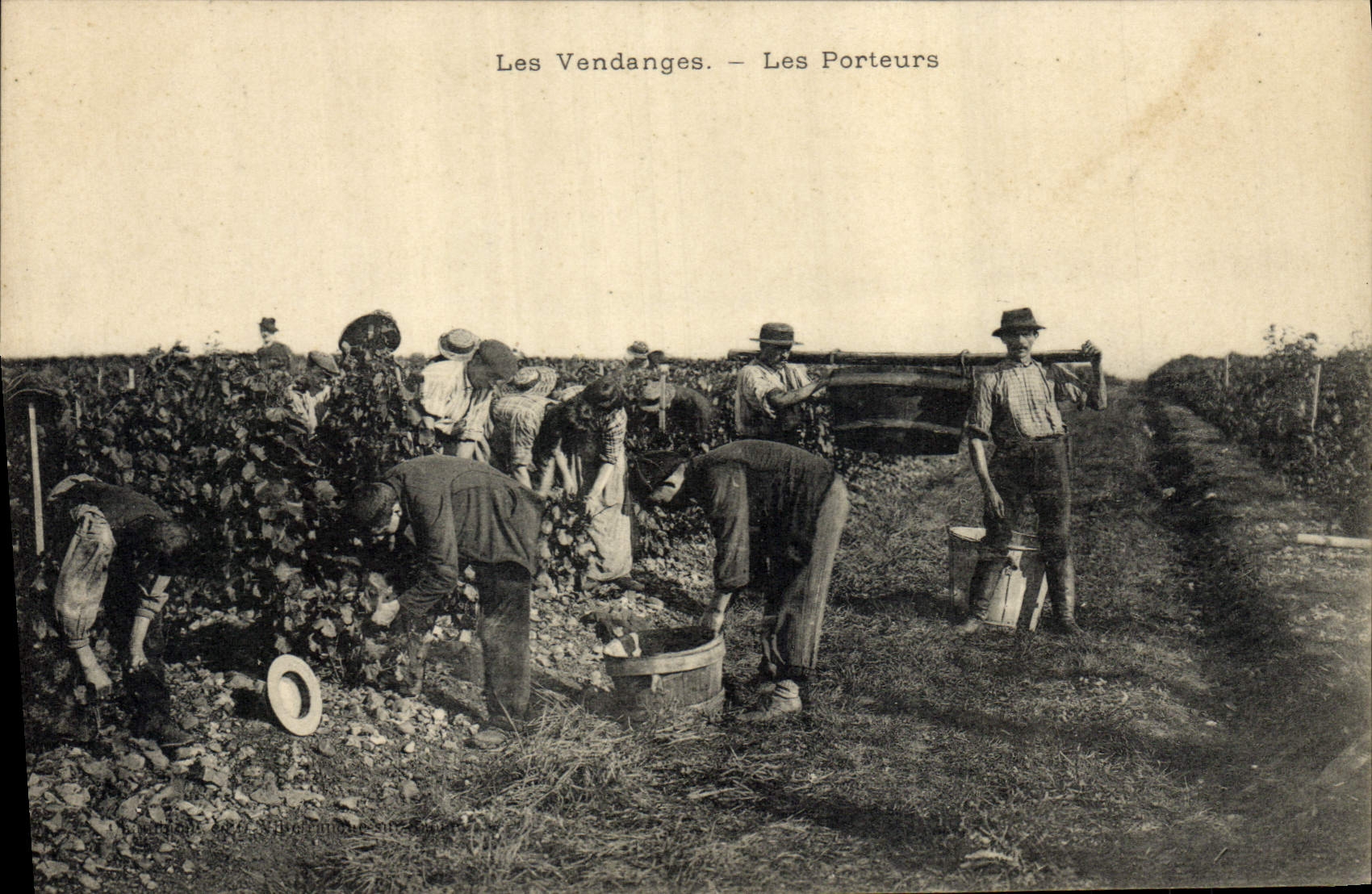 CPA Vin Vendanges Les porteurs TOP