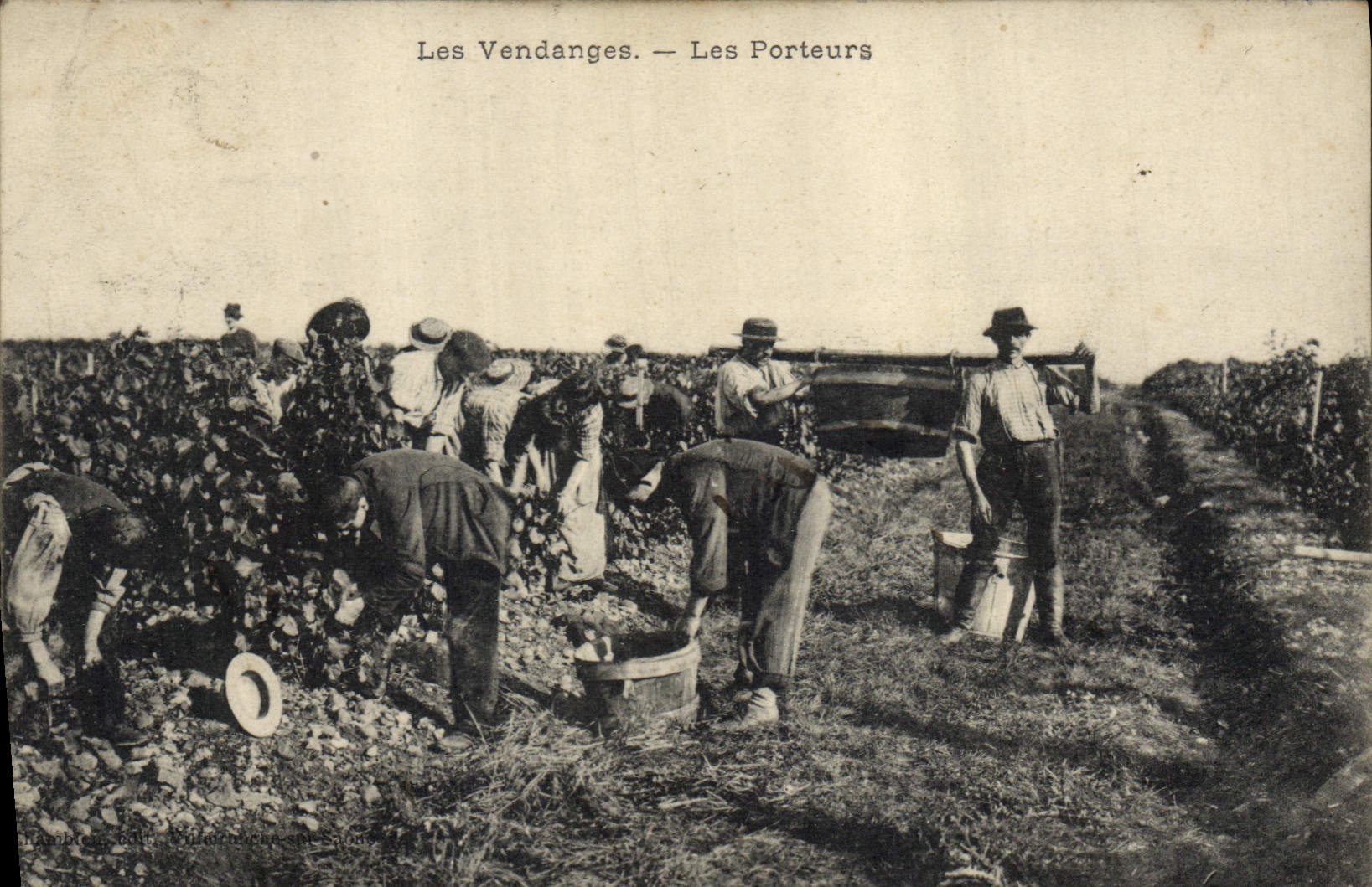 CPA Vin Vendanges Les porteurs TOP