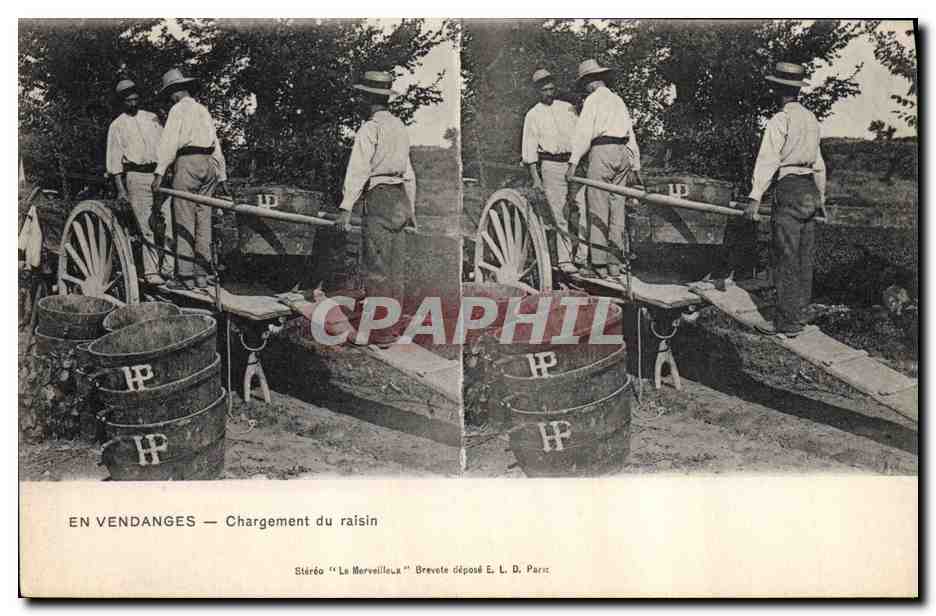 CPA Vin Vendanges Chargement du raisin