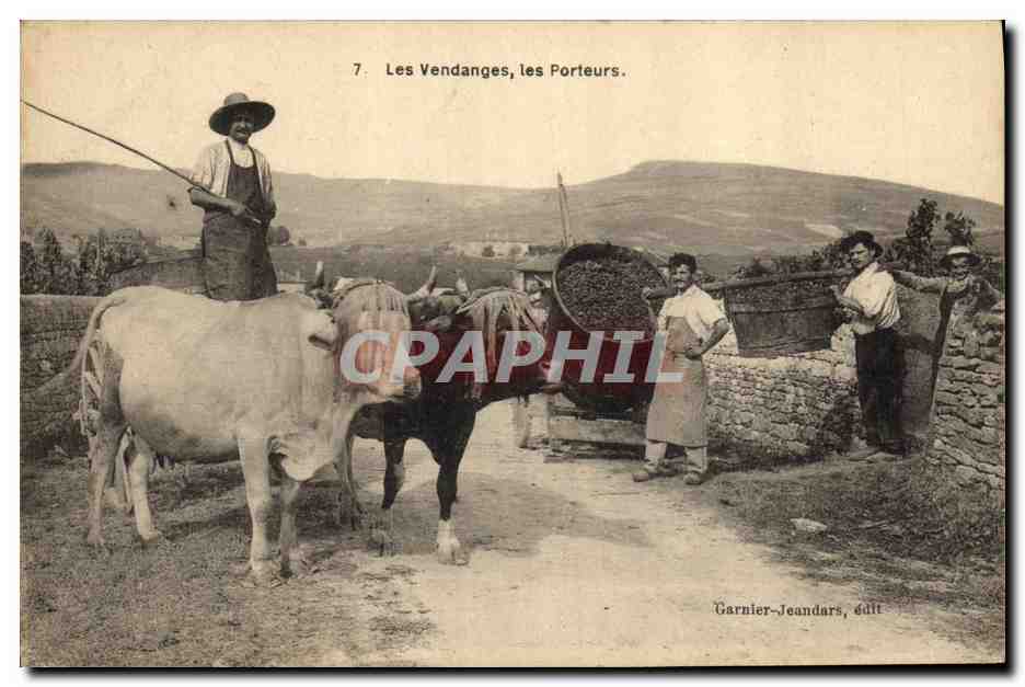 CPA Vin Vendanges Les porteurs TOP