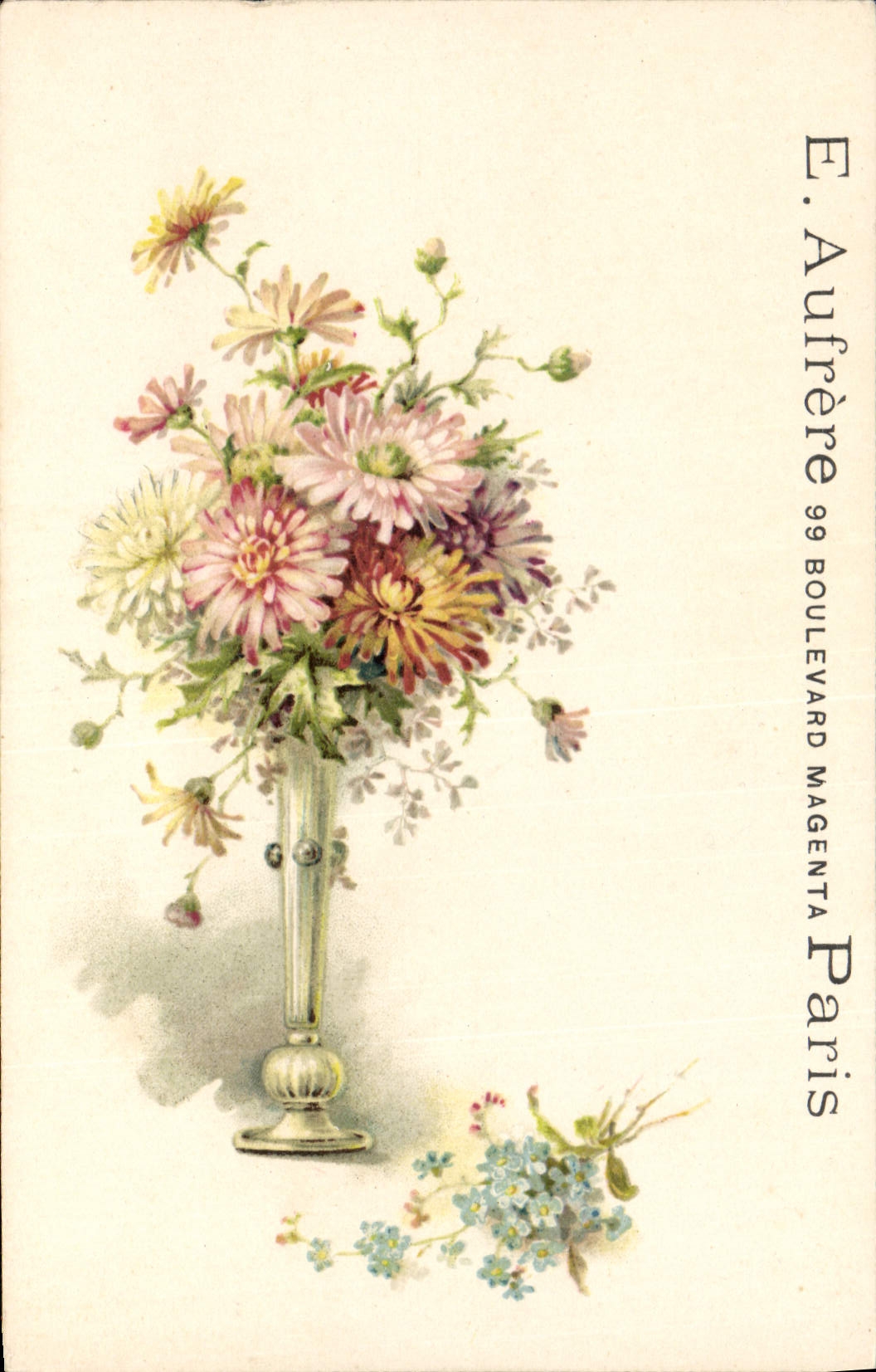 Bouquet de chrysanthèmes — E. Aufrère, 99 Boulevard Magenta, Paris