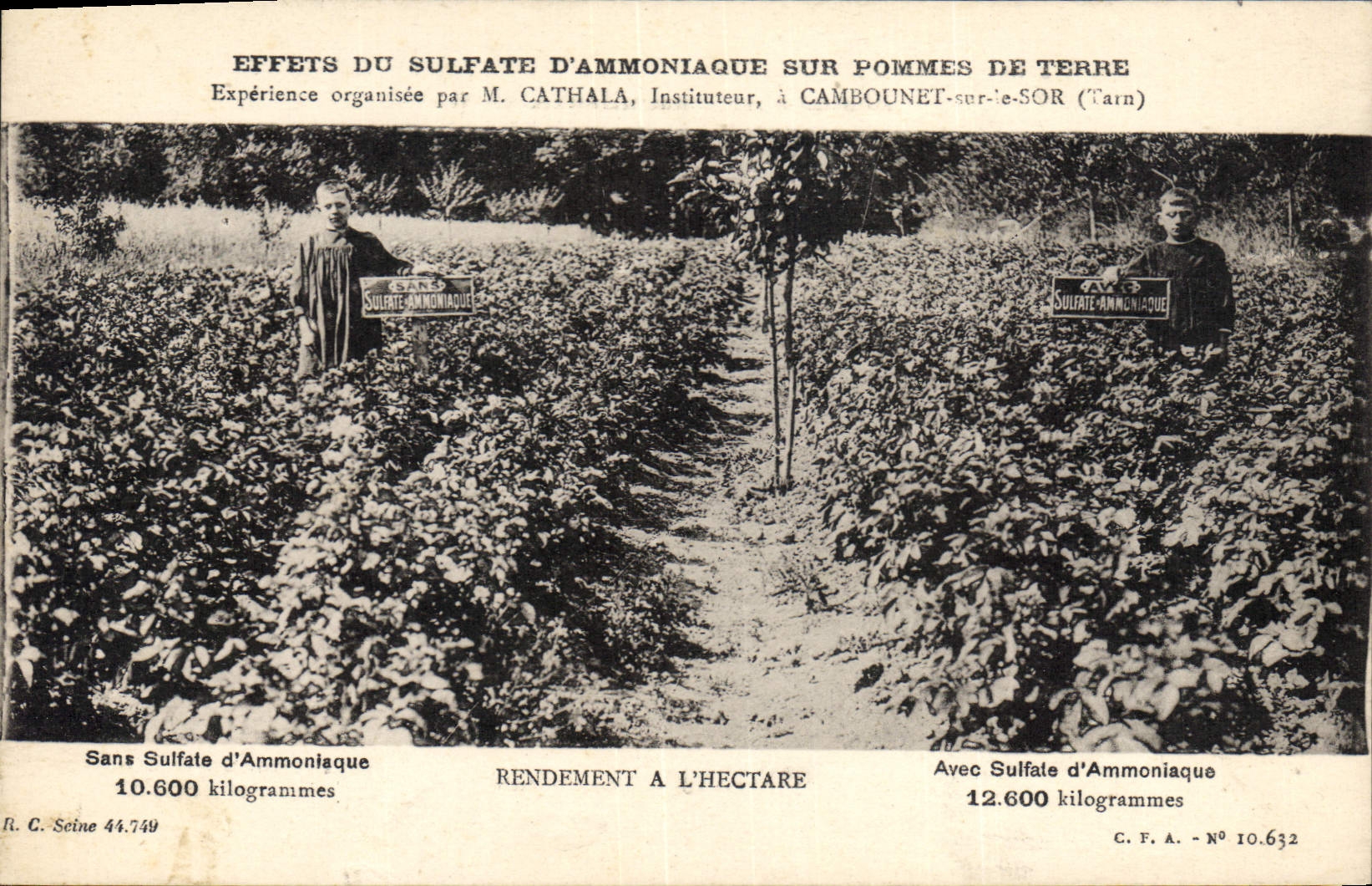 Effets du sulfate d'ammoniaque sur pommes de terre — Expérience de M. Cathala à Cambounet-sur-Sor (Tarn)