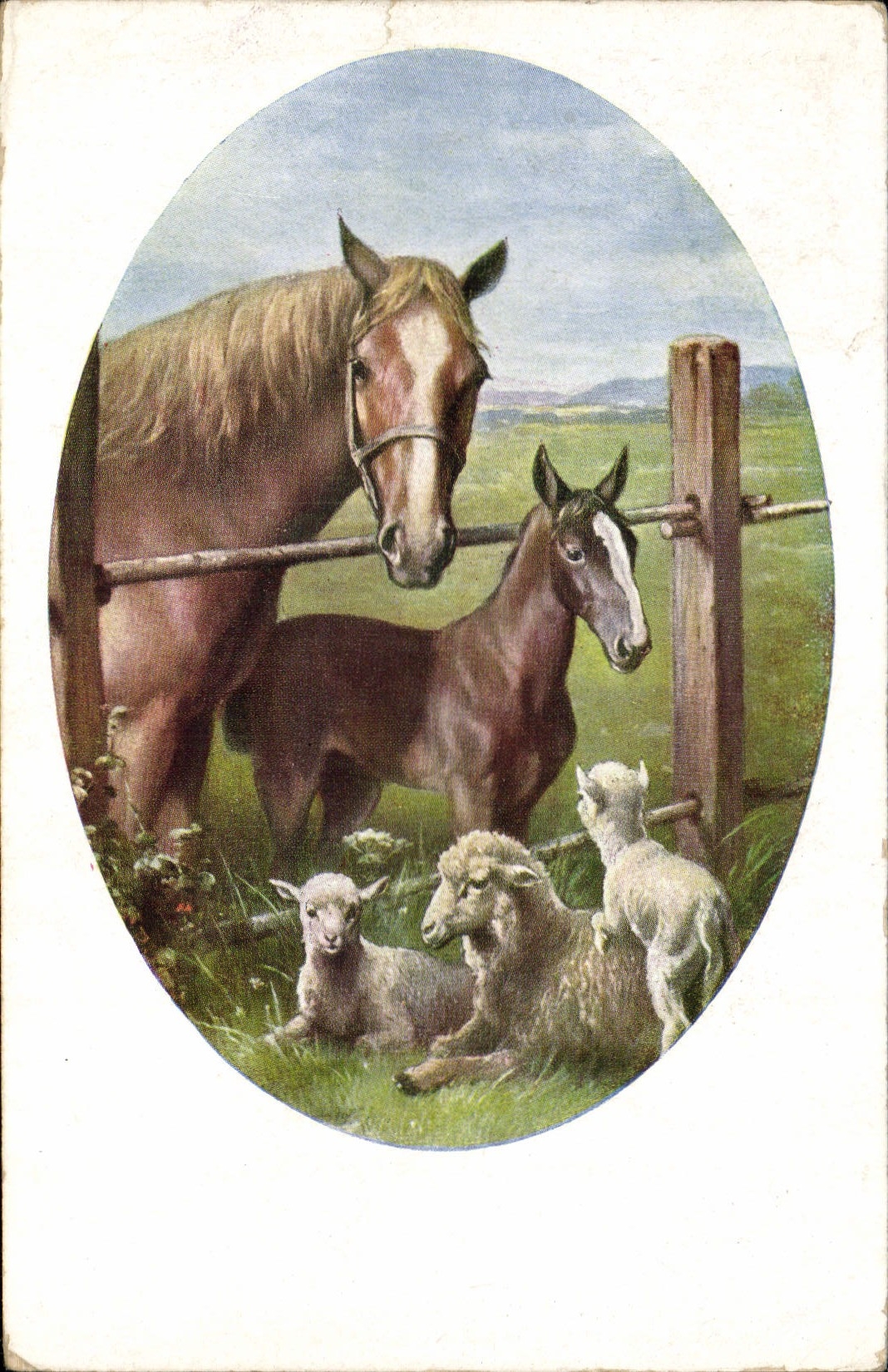 CPA Fantaisie Chevaux Moutons 