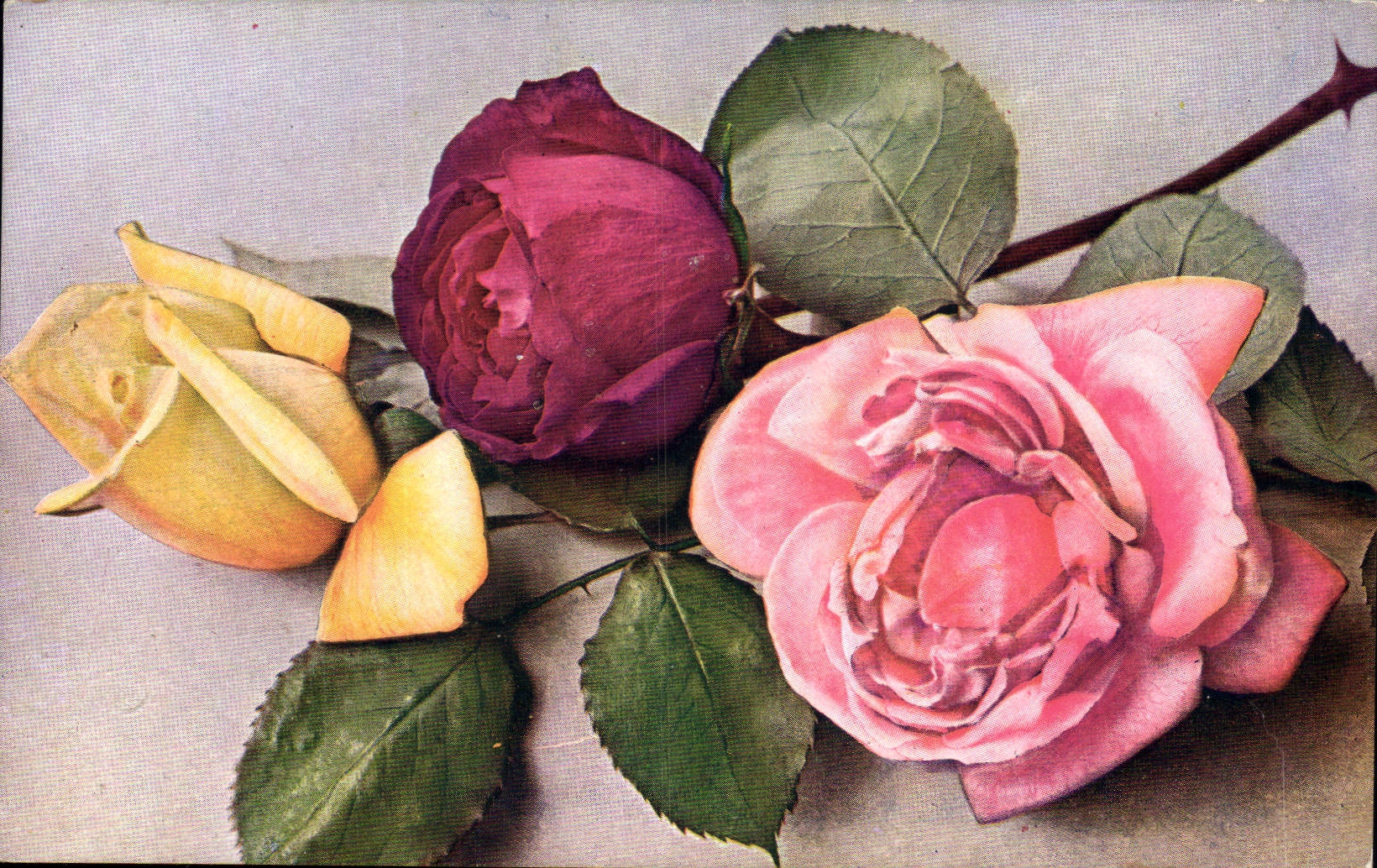CPA Fantaisie Fleurs Bouquet de roses