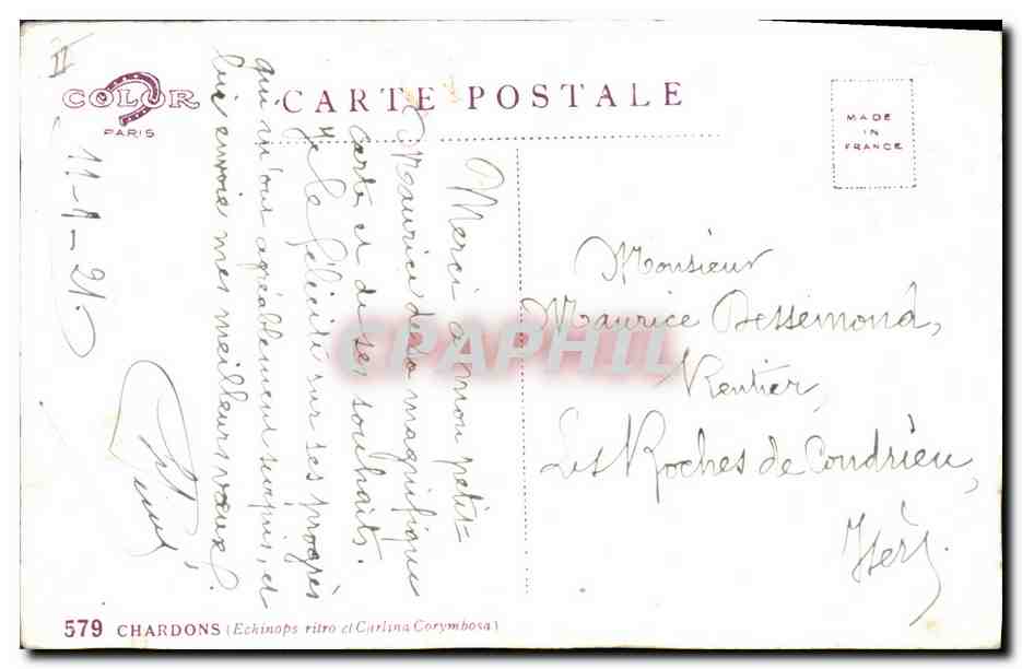CPA Fantaisie Fleurs Chardons — Rückseite