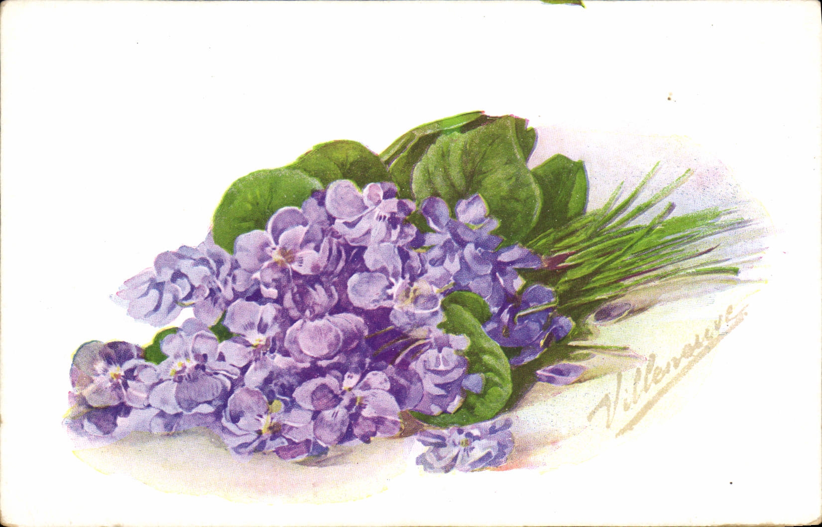 CPA Fantaisie Fleurs Violette de Parme