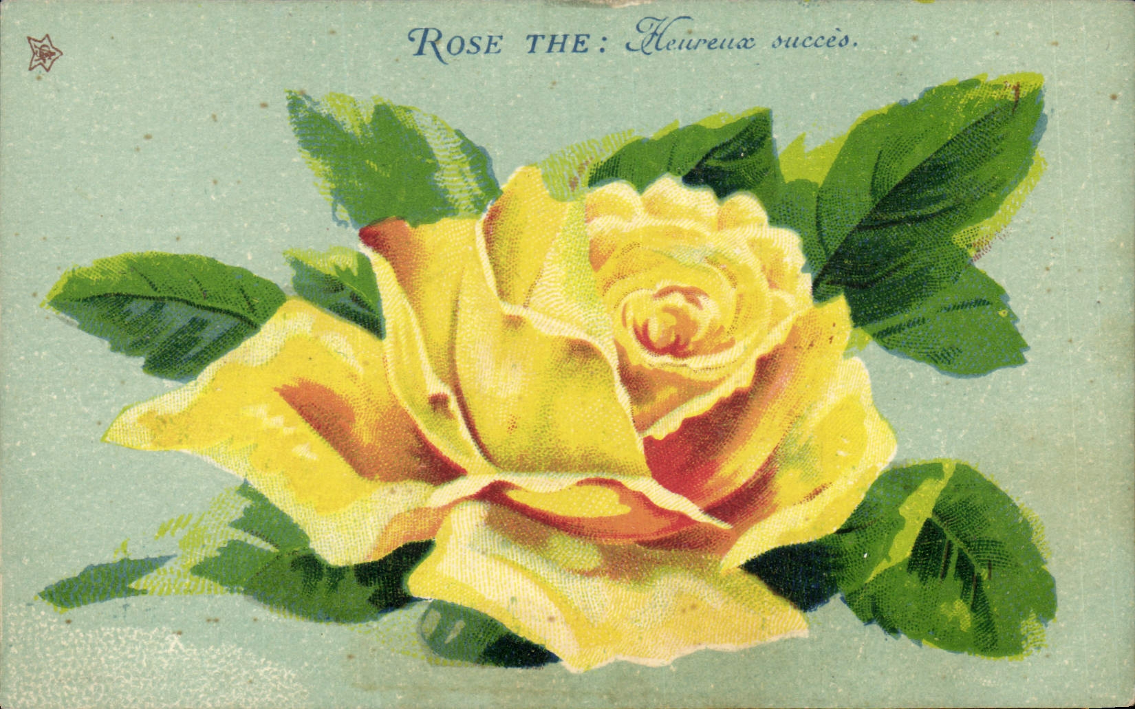 CPA Fantaisie Fleurs Rose The Heureux succes