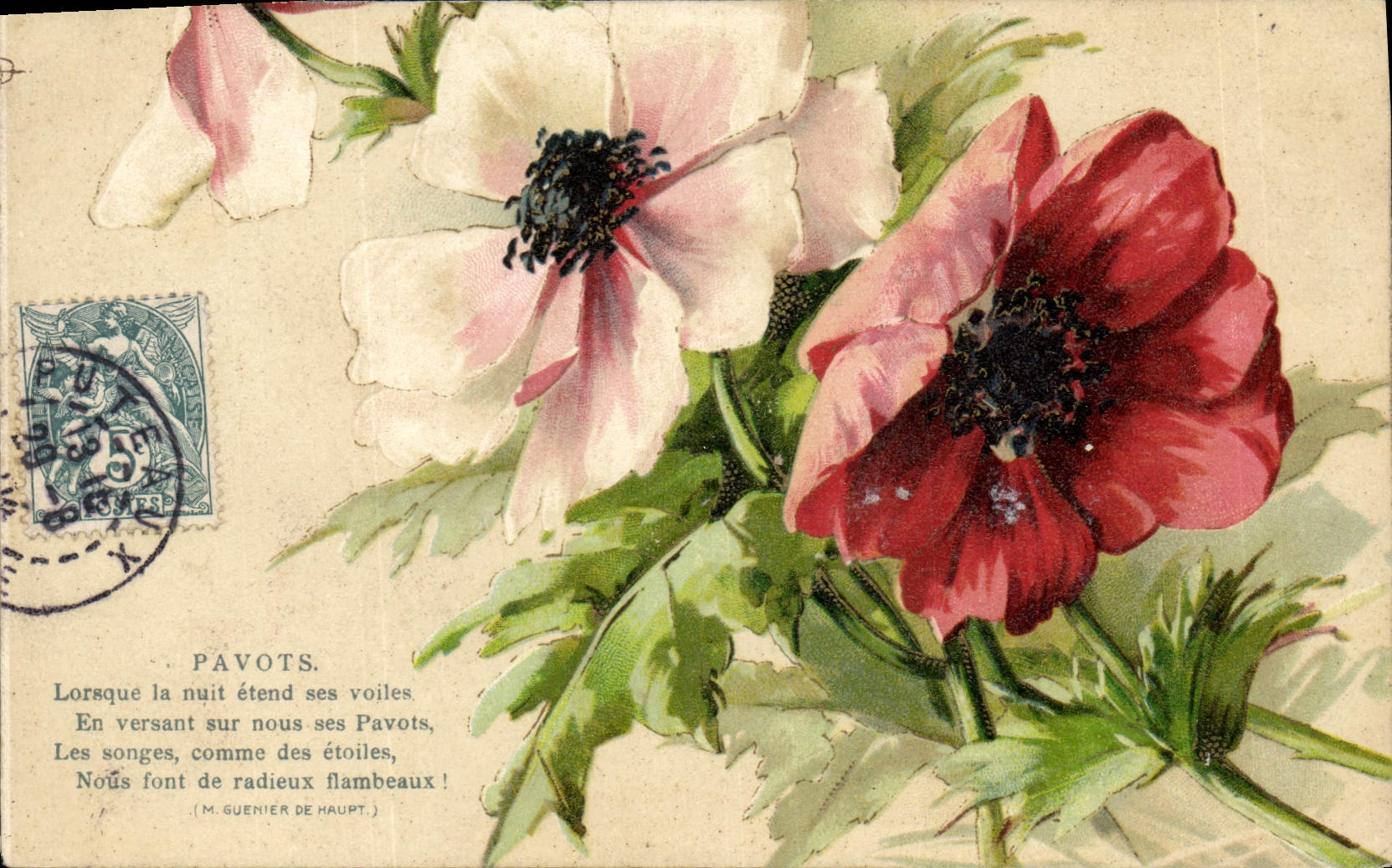 CPA Fantaisie Fleurs Pavots