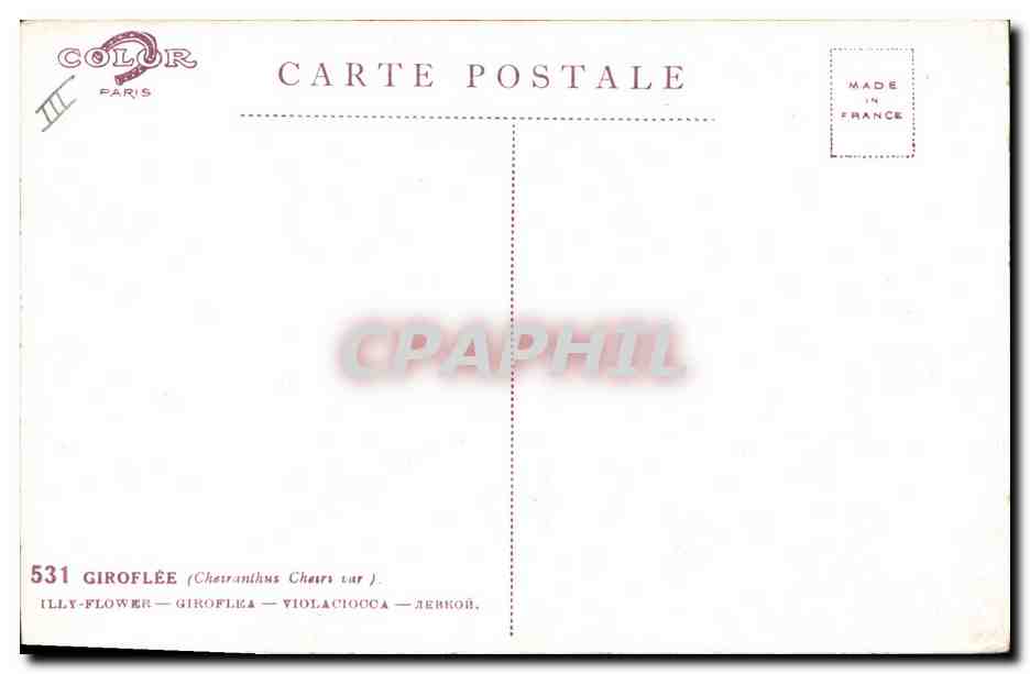 CPA Fantaisie Fleurs Giroflee — Verso