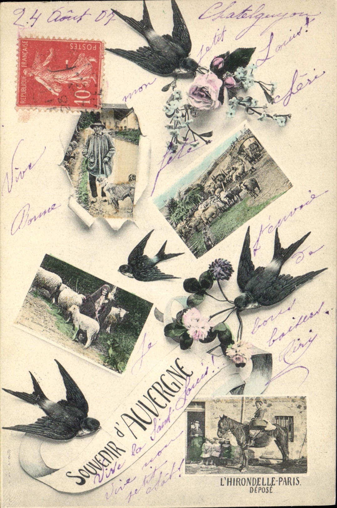 CPA Folklore Auvergne Cheval Hirondelle Agneau 