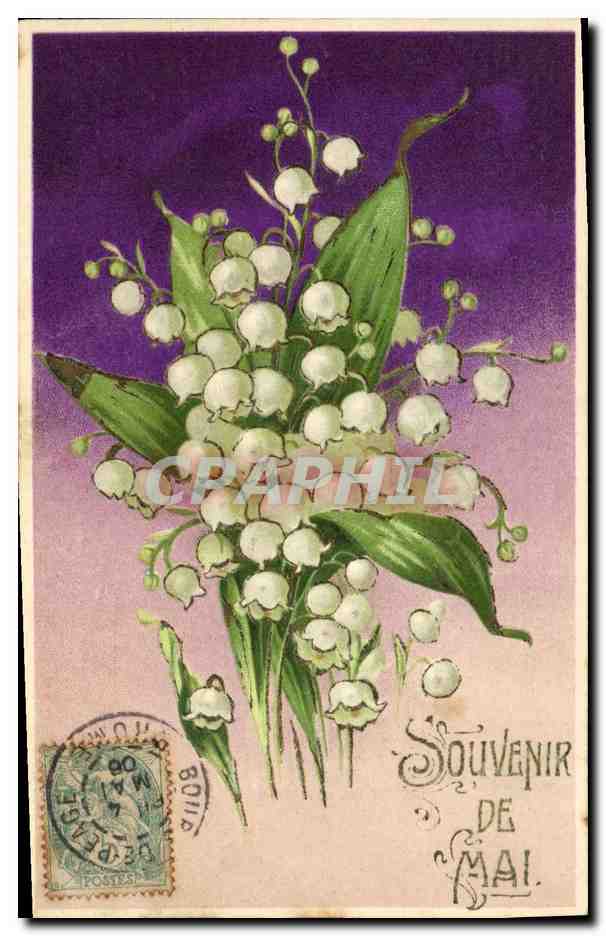 CPA Fantaisie Fleurs Muguet