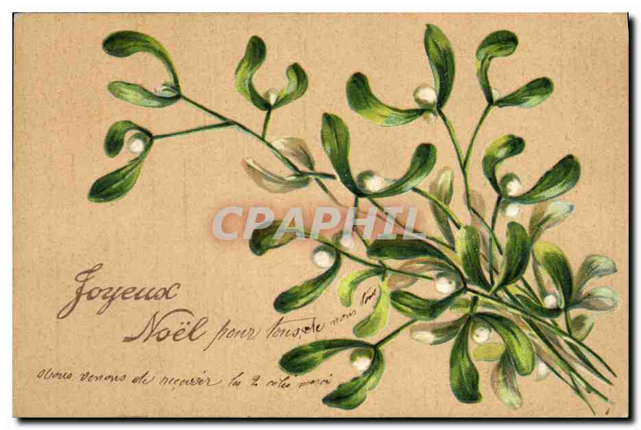 CPA Fantaisie Fleurs 