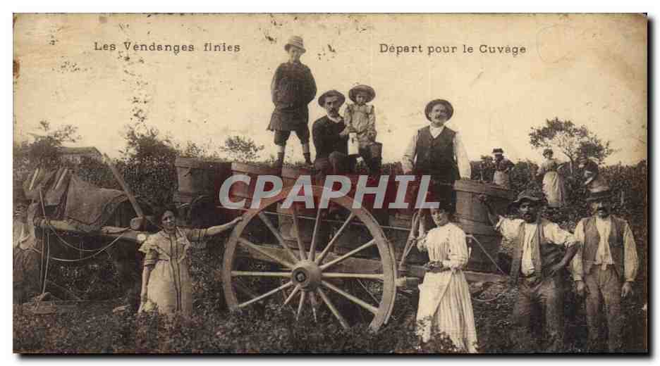 CPA Vin Les Vendanges finies Depart pour le cuvage TOP