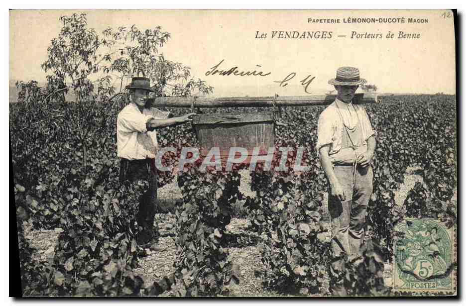 CPA Vin Vendanges Porteurs de Benne TOP
