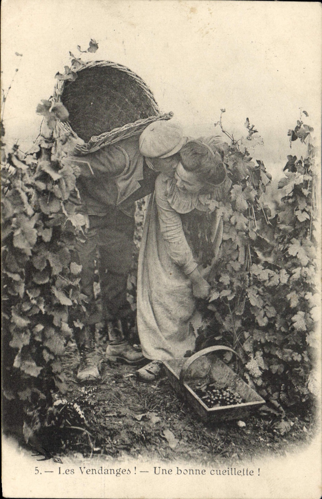 CPA Vin Vendanges Une bonne cueillette !