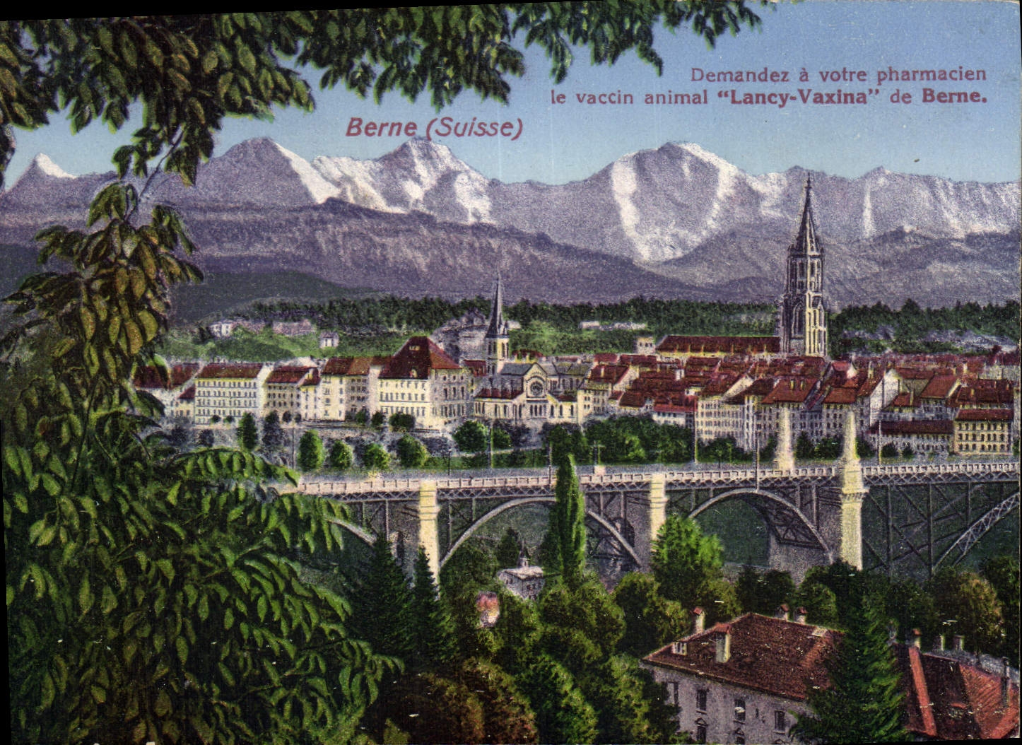 Berne (Suisse) — vue panoramique avec pont et montagnes enneigées — publicité pour le vaccin animal 'Lancy-Vaxina'