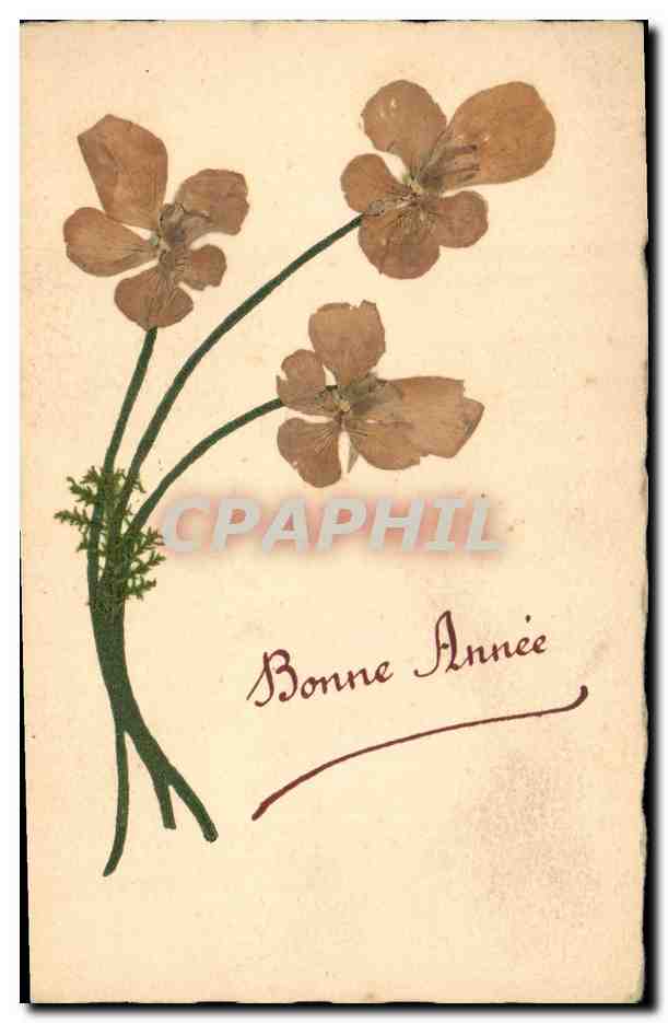Bouquet de fleurs pressées — Bonne Année — CPAPHIL