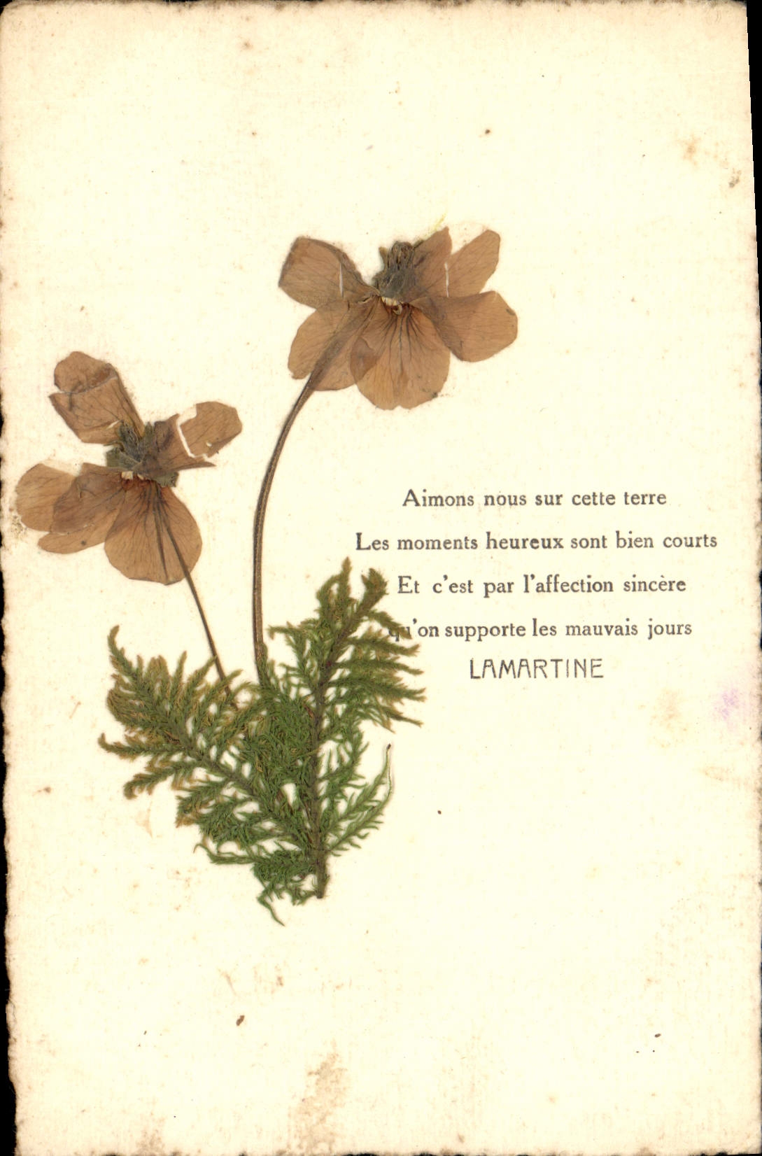 Flores secas y poema de Lamartine — sin editor ni número visible - Anverso