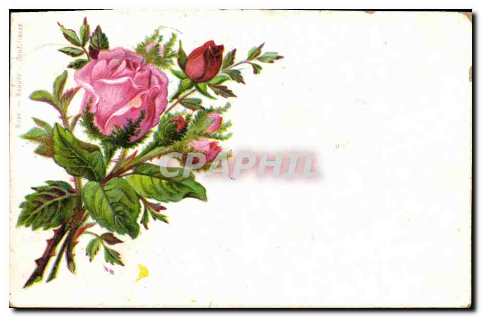 CPA Fantaisie Fleurs 