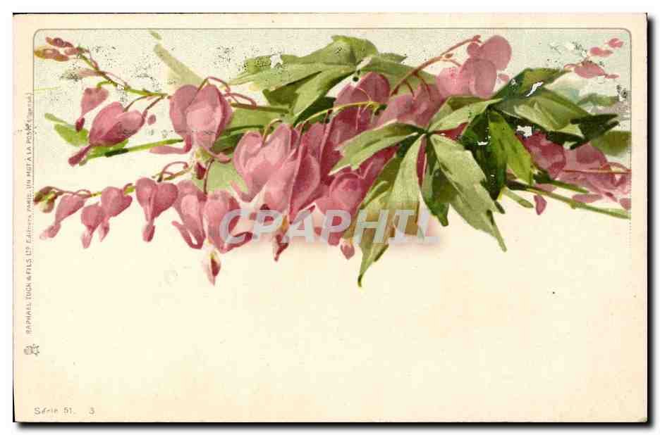 CPA Fantaisie Fleurs 