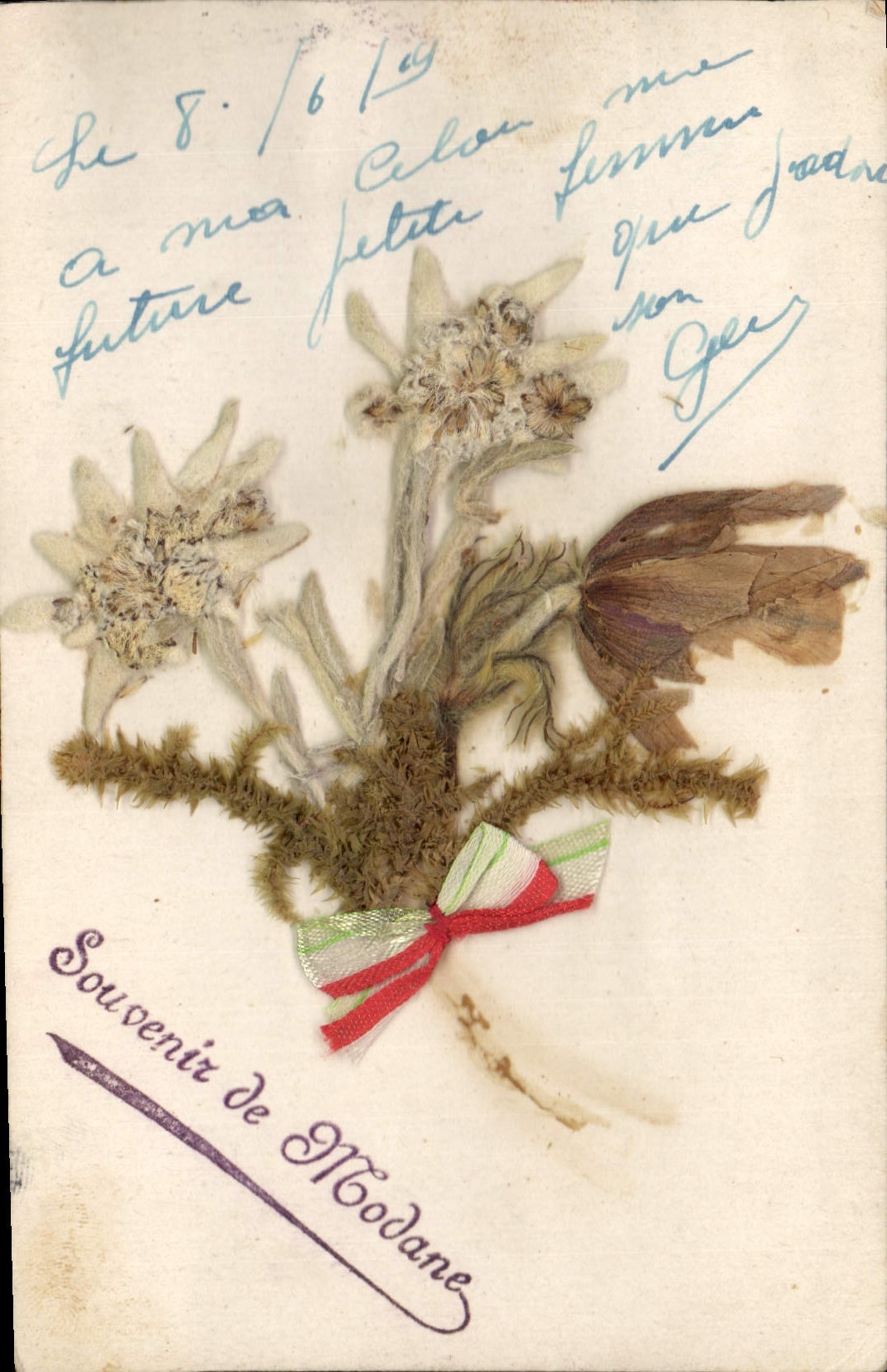 Fleurs séchées — Souvenir de Modane — éditeur inconnu