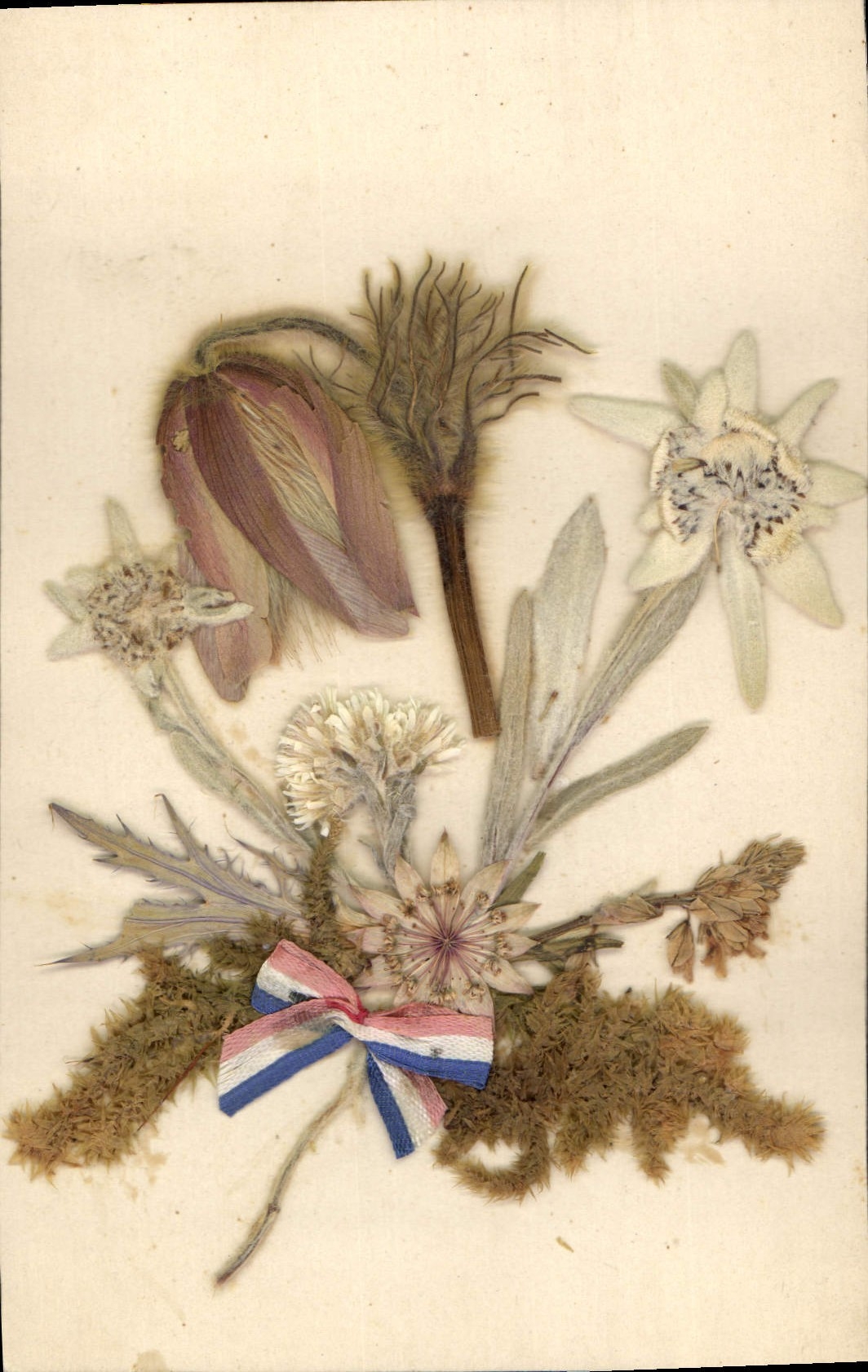 Bouquet de flores secas — editor desconocido, número de serie no visible