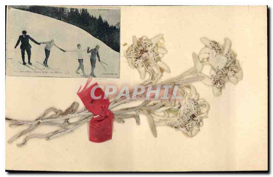 Ski à Chamonix — Éditeur A. Poncelet, N° 10 — avec bouquet de fleurs séchées